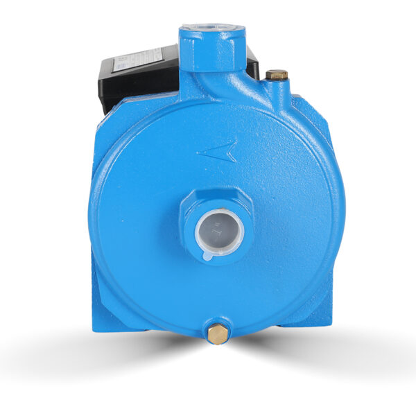 SCM pump